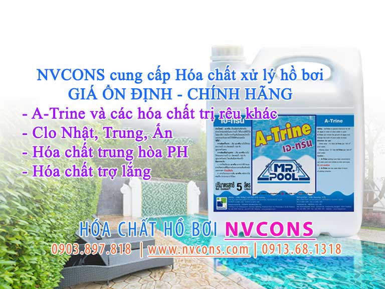 NVCONS cung cấp hóa chất A-trine trị rêu và các hóa chất hồ bơi khác