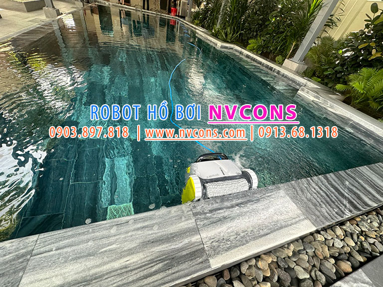 Dolphin X40 Plus tại Vũng Tàu