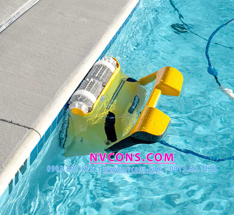 Robot Dolphin Wave 80 leo tường cọ rêu thành bể