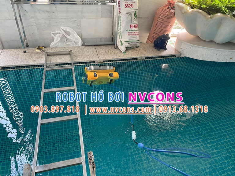 Robot hồ bơi Dolphin Wave 75 tại TPHCM